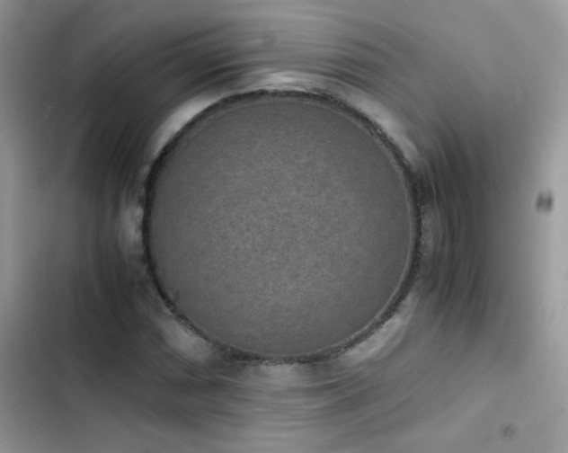 X0000103961066200809191506