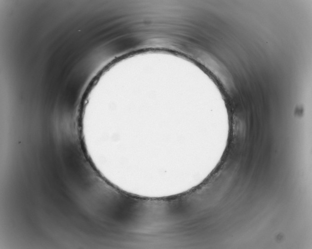 X0000103961068200809191506
