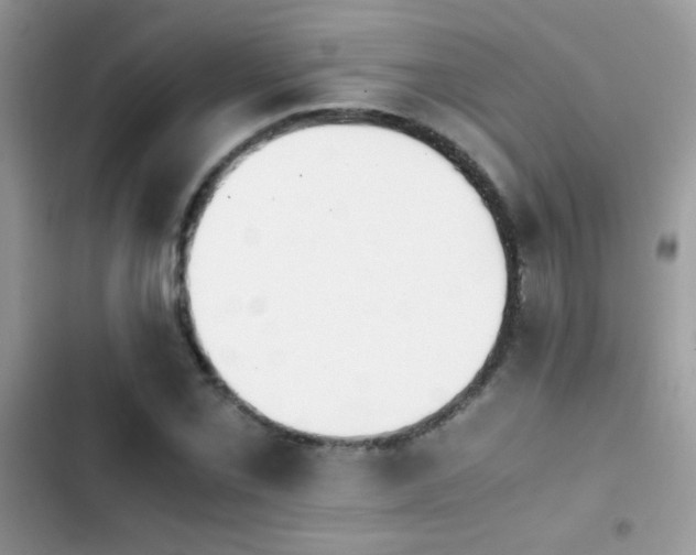 X0000103961069200809191506