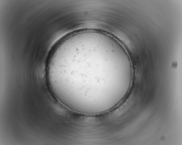 X0000103961070200809191506