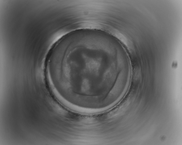 X0000103961071200809191506