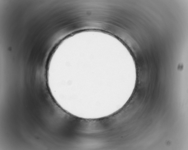 X0000103961072200809191506