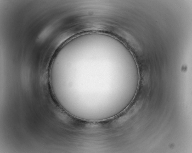 X0000103961073200809191505