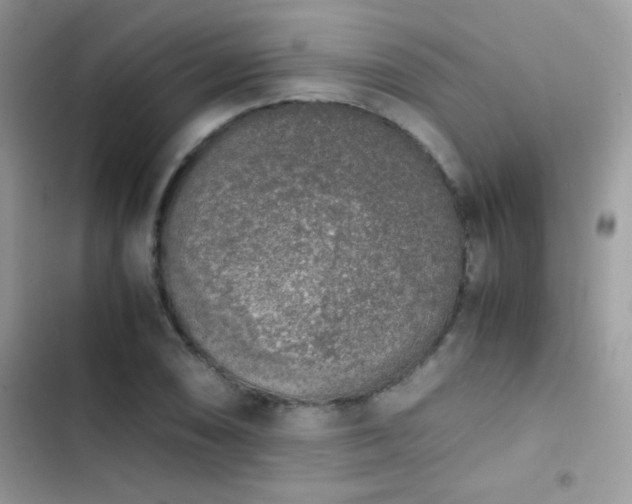 X0000103961074200809191505