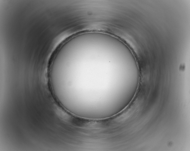 X0000103961075200809191505