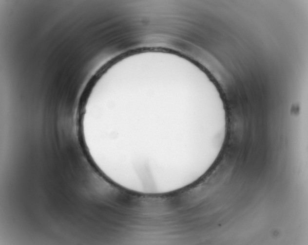 X0000103961076200809191505