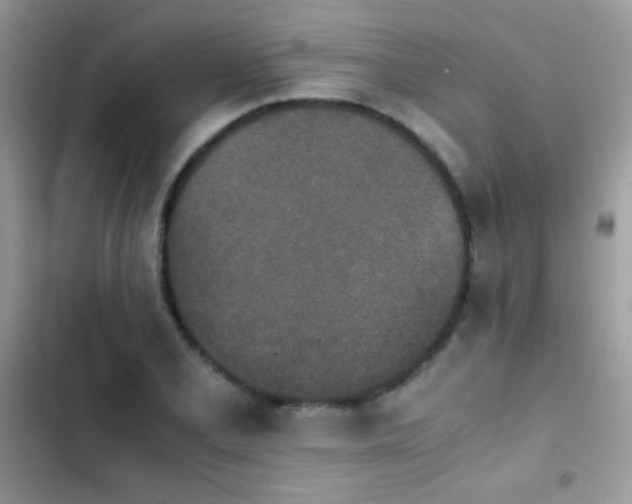 X0000103961077200809191505