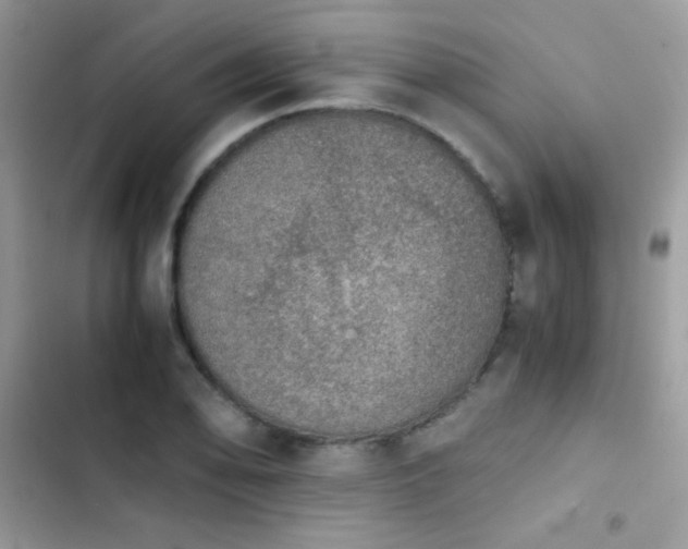 X0000103961078200809191505