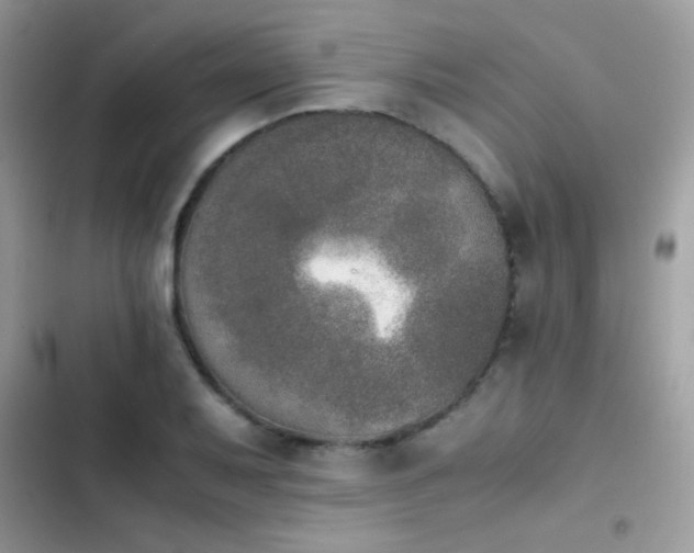X0000103961079200809191505