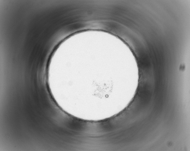 X0000103961080200809191505