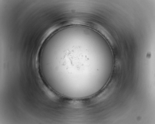 X0000103961082200809191505