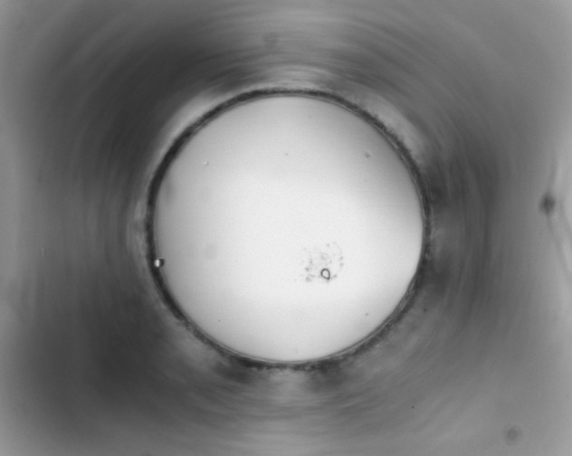 X0000103961085200809191505