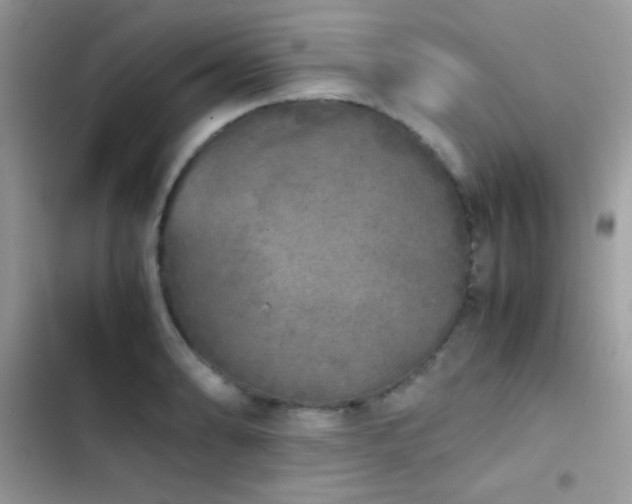 X0000103961086200809191505