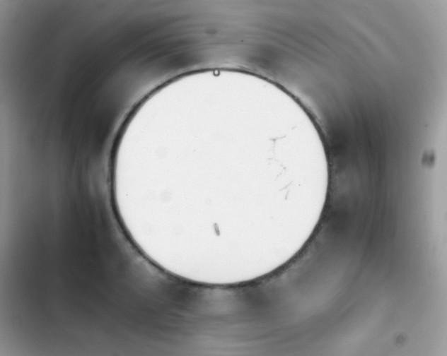 X0000103961088200809191505