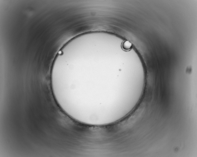 X0000103961089200809191505