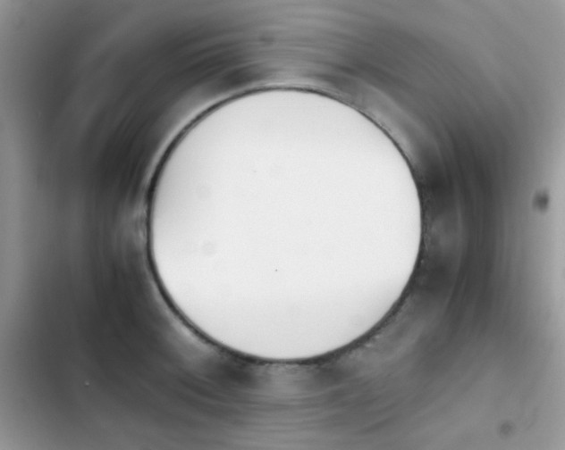 X0000103961092200809191505