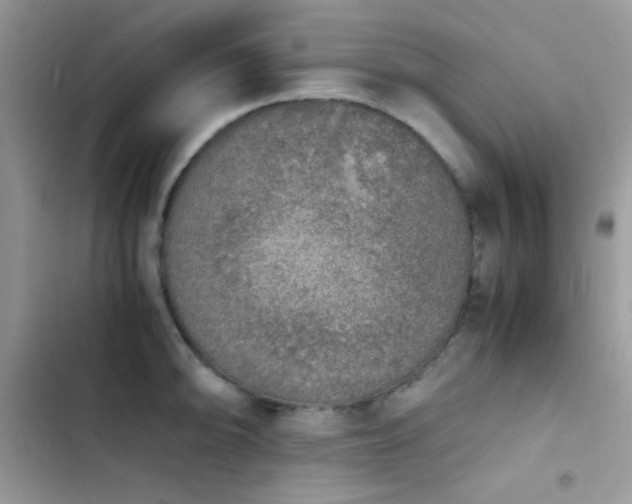 X0000103961094200809191505