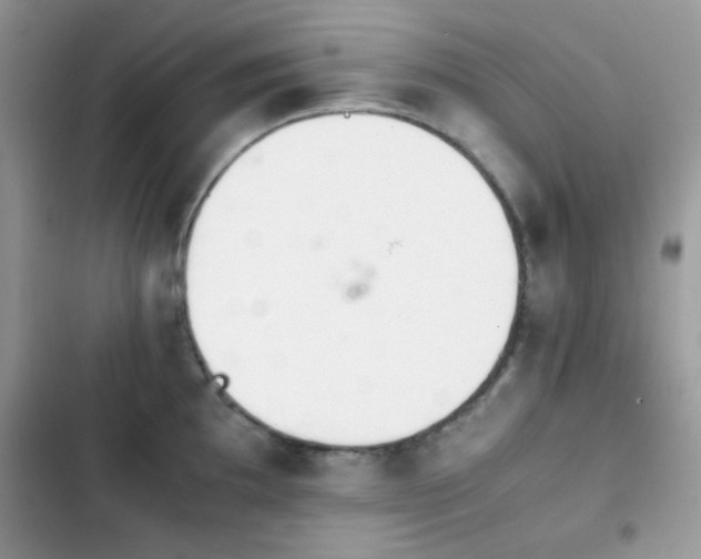 X0000103961097200809191505