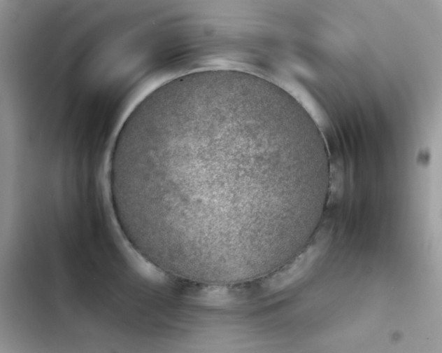 X0000103961098200809191505