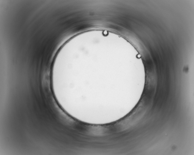 X0000103961100200809191505