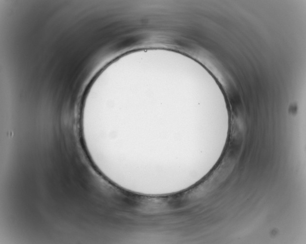 X0000103961101200809191505