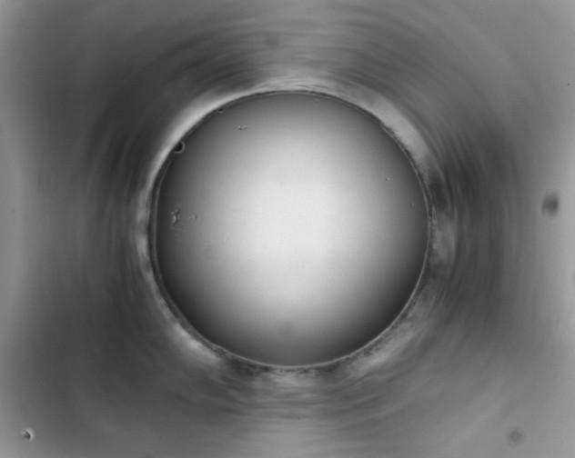 X0000103961102200809191505