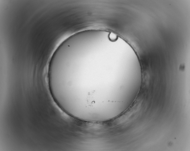 X0000103961103200809191505