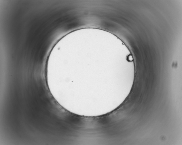 X0000103961104200809191505