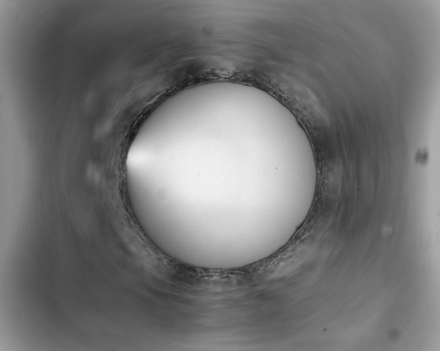 X0000103961105200809191504