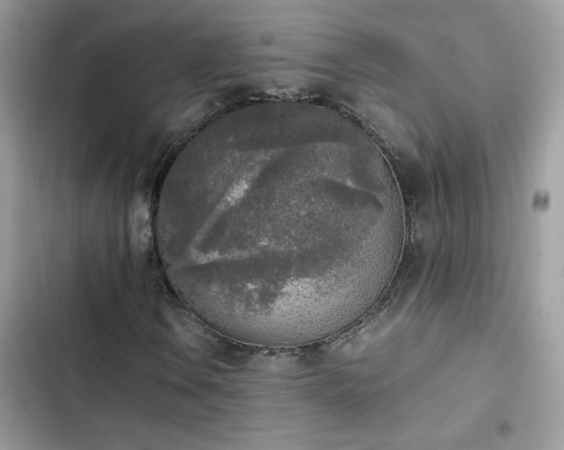 X0000103961106200809191504