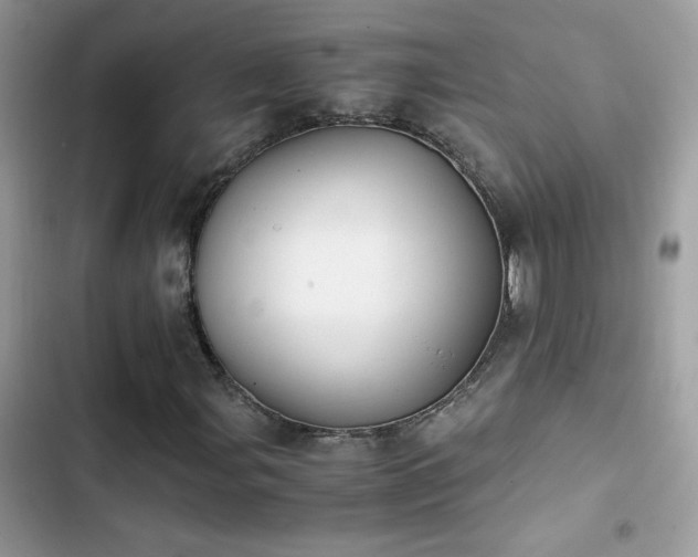 X0000103961107200809191504