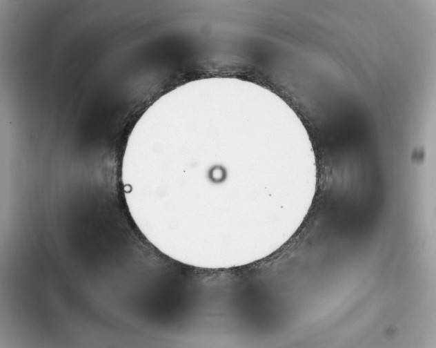 X0000103961108200809191504