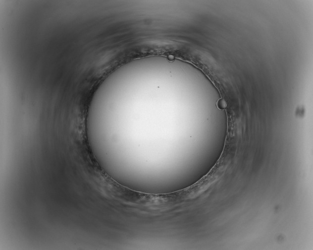 X0000103961109200809191504