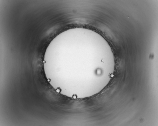X0000103961110200809191504
