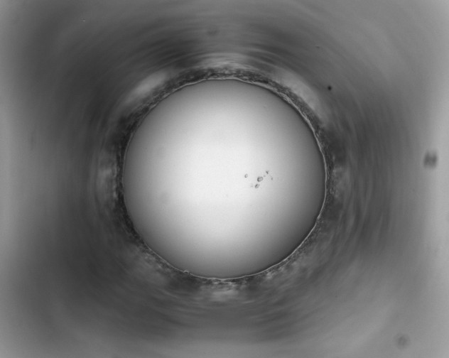 X0000103961111200809191504