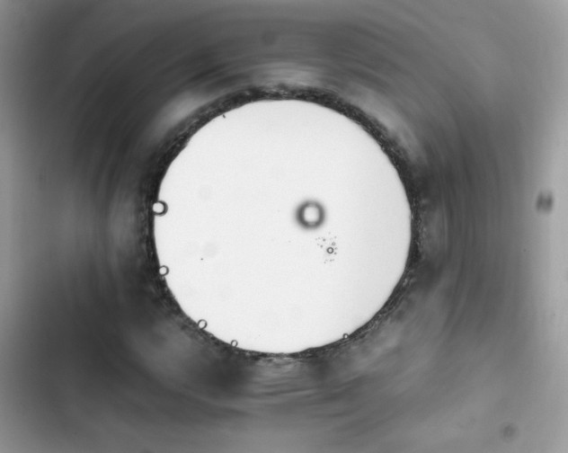X0000103961112200809191505