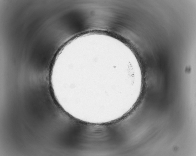 X0000103961113200809191505
