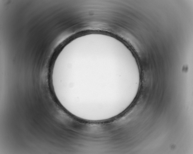 X0000103961114200809191505