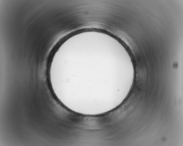 X0000103961116200809191505