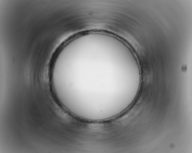 X0000103961118200809191505