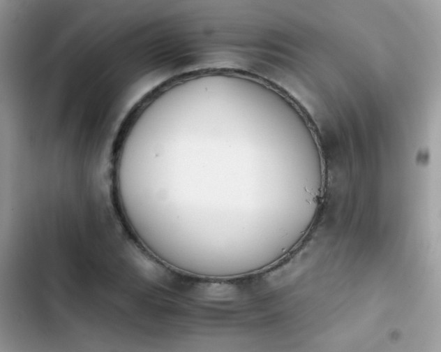 X0000103961119200809191505