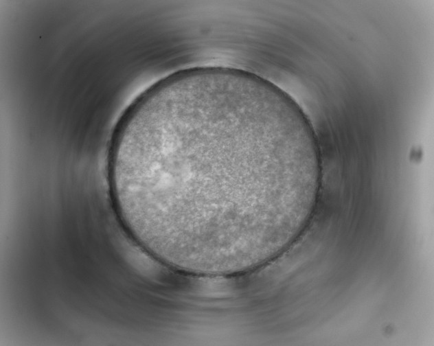X0000103961120200809191505