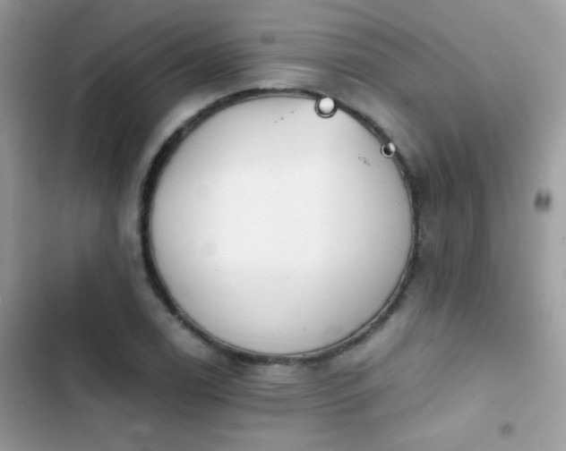 X0000103961122200809191505