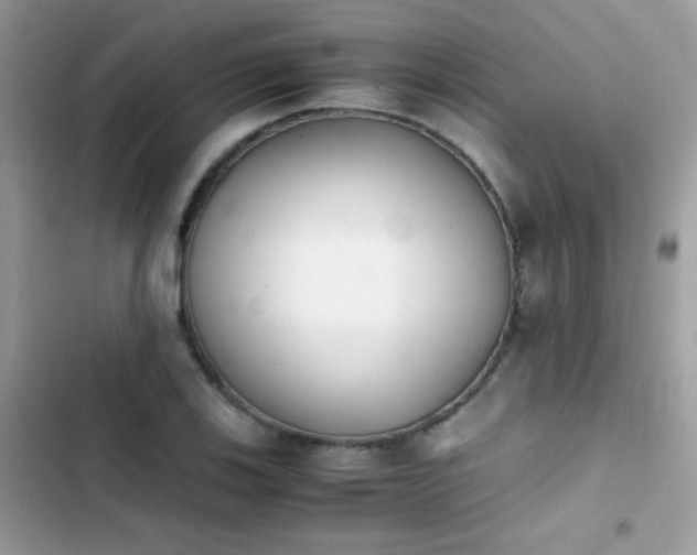 X0000103961123200809191505