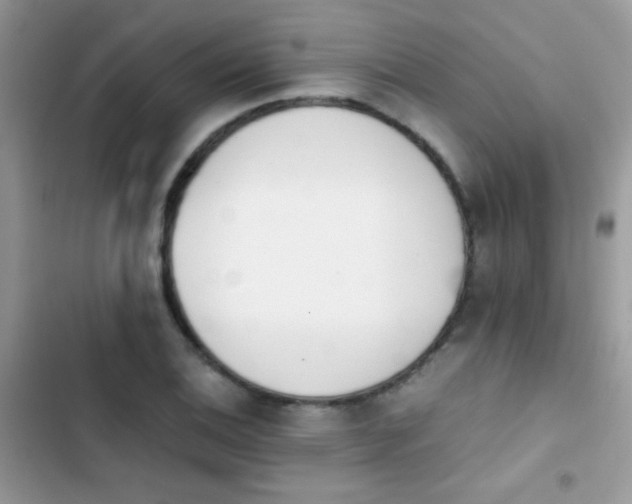 X0000103961124200809191505