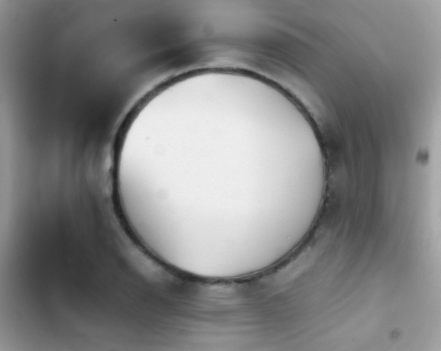 X0000103961126200809191505