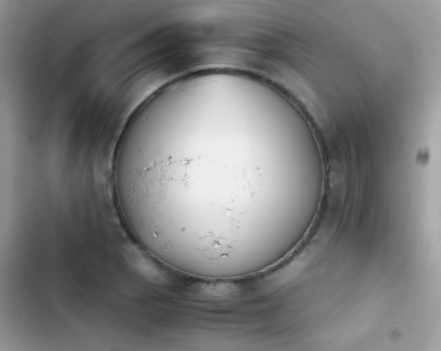 X0000103961129200809191505