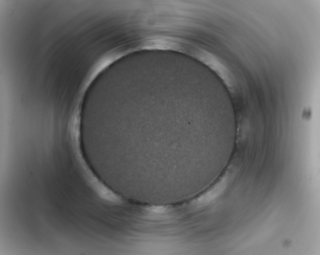X0000103961130200809191505