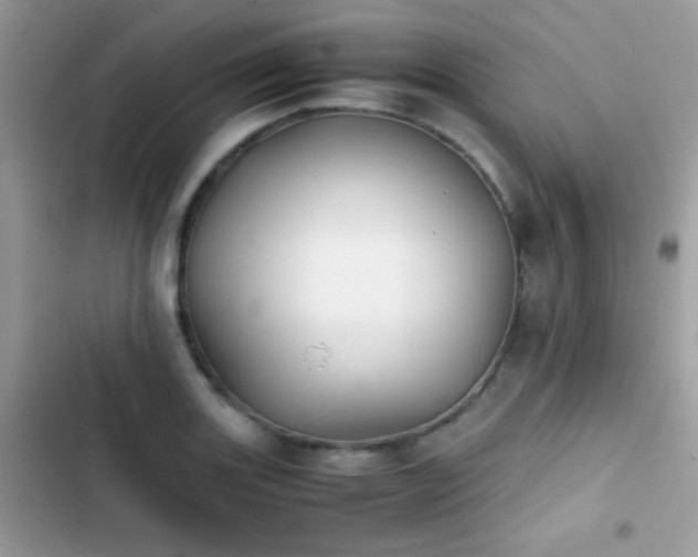 X0000103961131200809191505