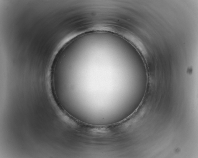 X0000103961133200809191505